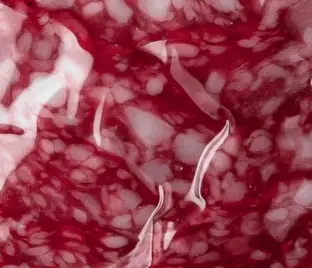 Salam Old York cu merișoare, crud-afumat